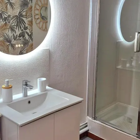 Belles Plages 1 ère Ligne Climatisé * La Grande-Motte